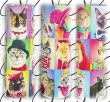 Load image into Gallery viewer, PREORDER: Cat Portraits Skinny Tumbler